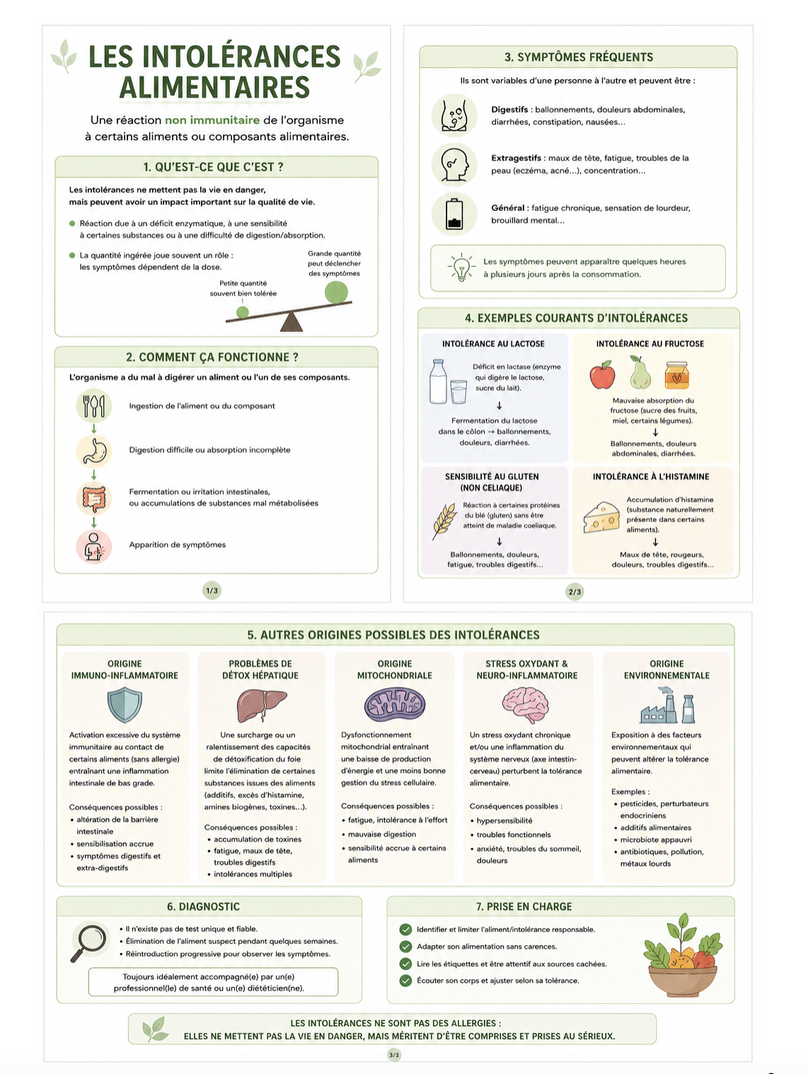 Infographie complète sur les intolérances alimentaires : définition, mécanismes, symptômes fréquents, exemples courants (lactose, fructose, gluten non cœliaque, histamine), autres origines possibles (immuno-inflammatoire, hépatique, mitochondriale, neuro-inflammatoire, environnementale), diagnostic et prise en charge.